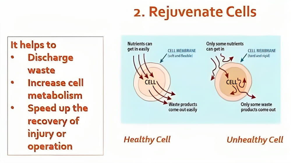 Rejuvenate Cells - Keep Cells Healthy & Increase Cell Activity | Negative Ions Clothes