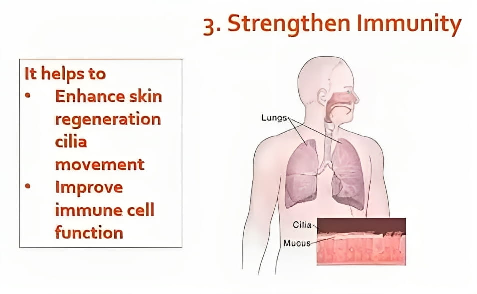 Enhance Immune System -Boost Overall Immune System Which Protects Your Body | Negative Ion Clothes