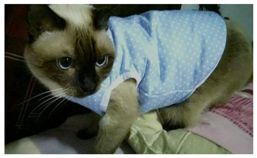 Testimonial for Malignant Tumor in Pets | Negative Ions Clothes