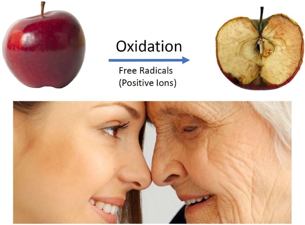 Oxidation - Free Radicals